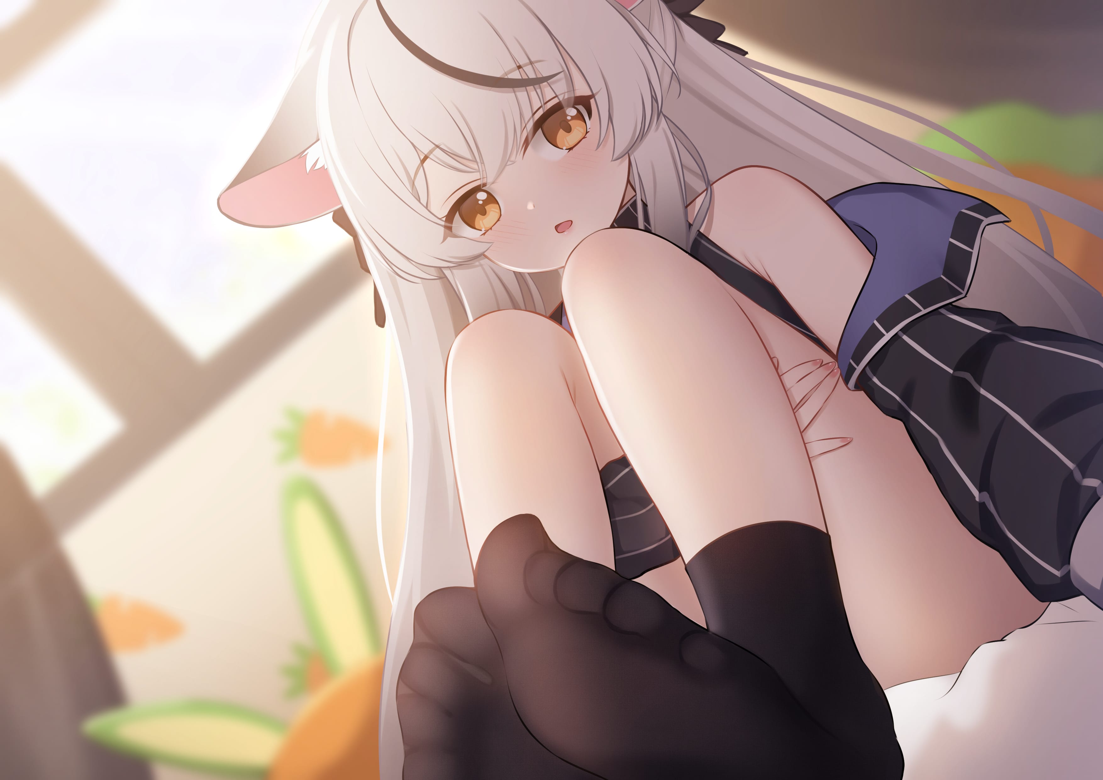 白发、猫耳、粉色耳朵 图片素材