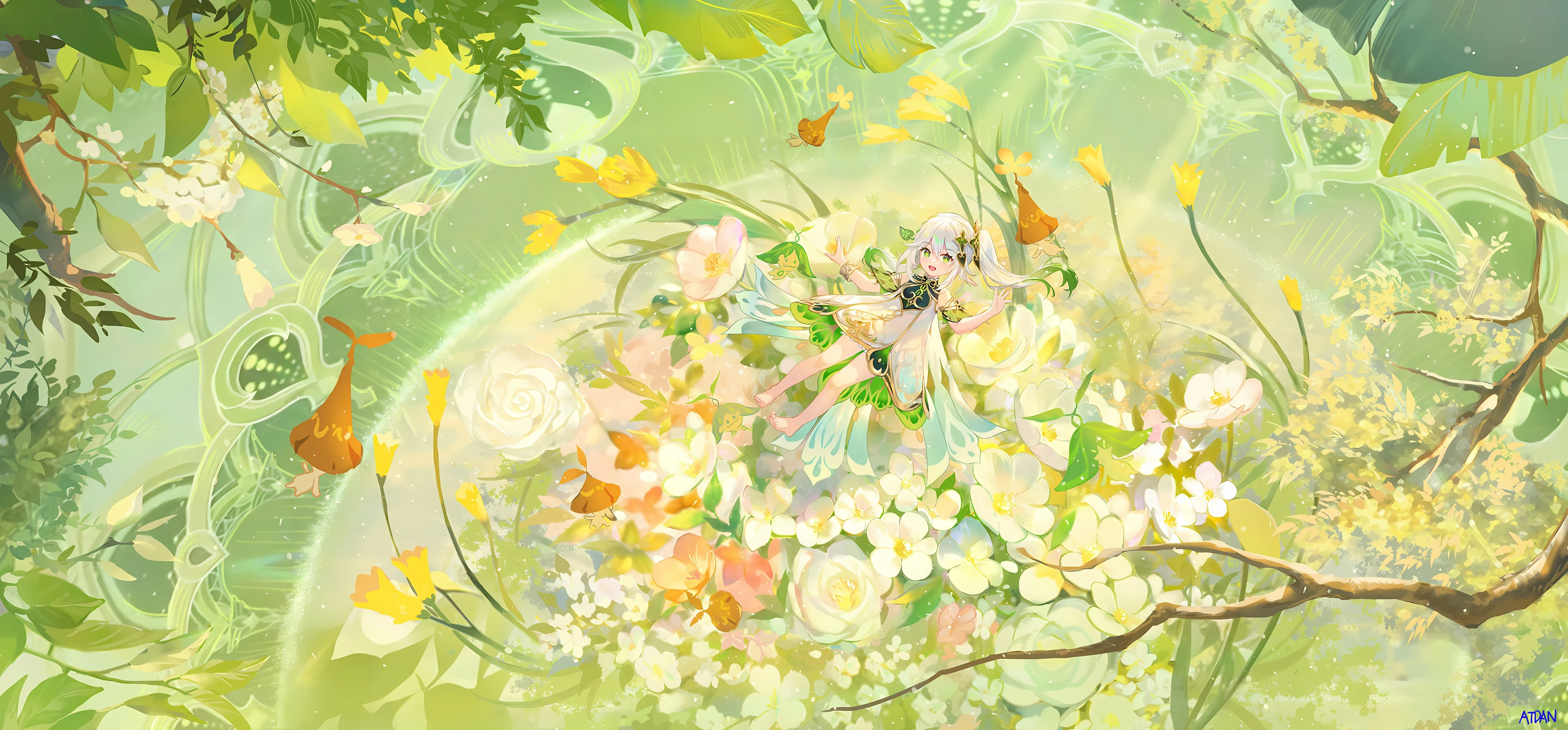 原神、莱依拉、花朵 图片素材