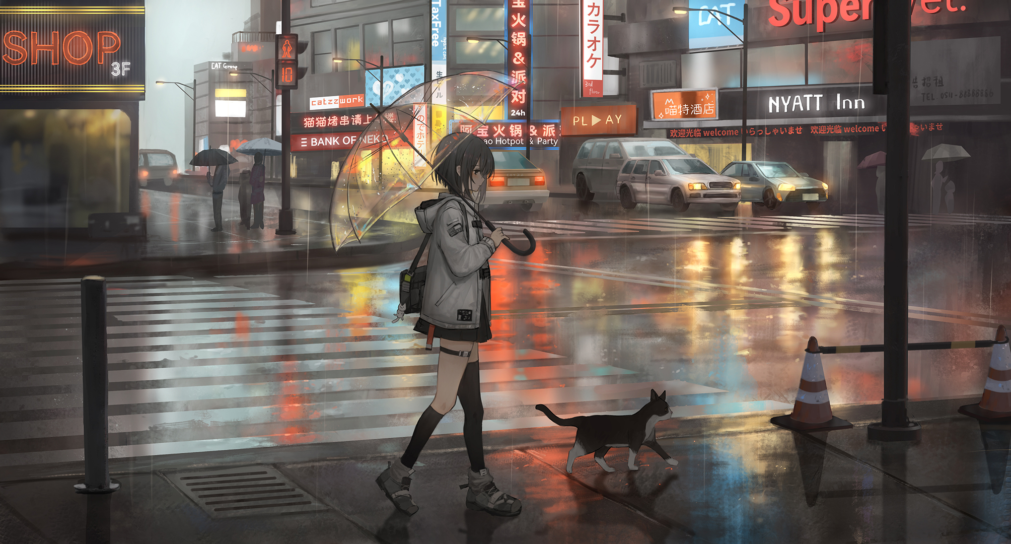透明雨伞、猫耳娘、都市夜景 图片素材